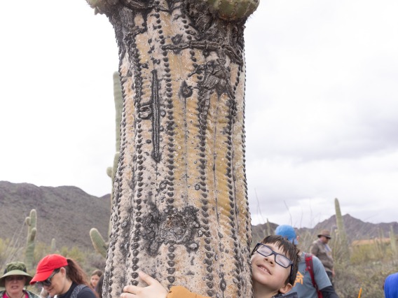 Lineweaver Elementary School student, Zachariah Thurn, hugging a saguaro.