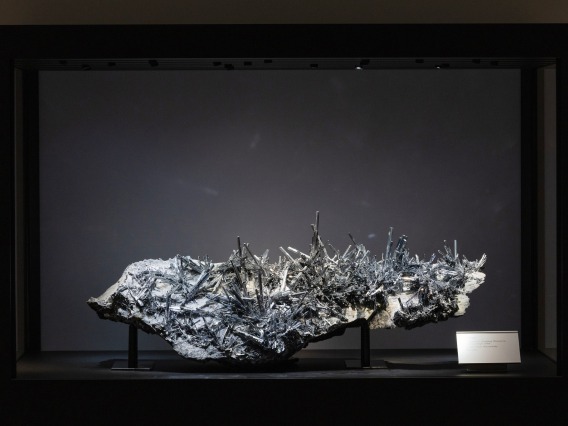 The University of Arizona Alfie Norville Gem and Mineral Museum received a massive, rare stibnite specimen from Robert Lavinsky, a world-renowned mineral collector, science education advocate and longtime supporter of the university.