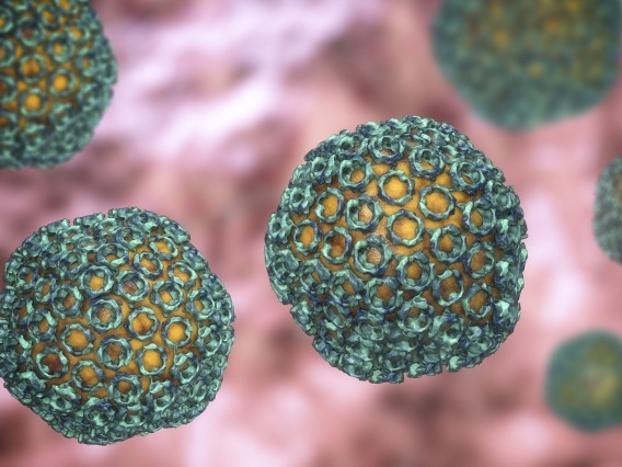 An animated photograph of the Rift Valley Fever virus.
