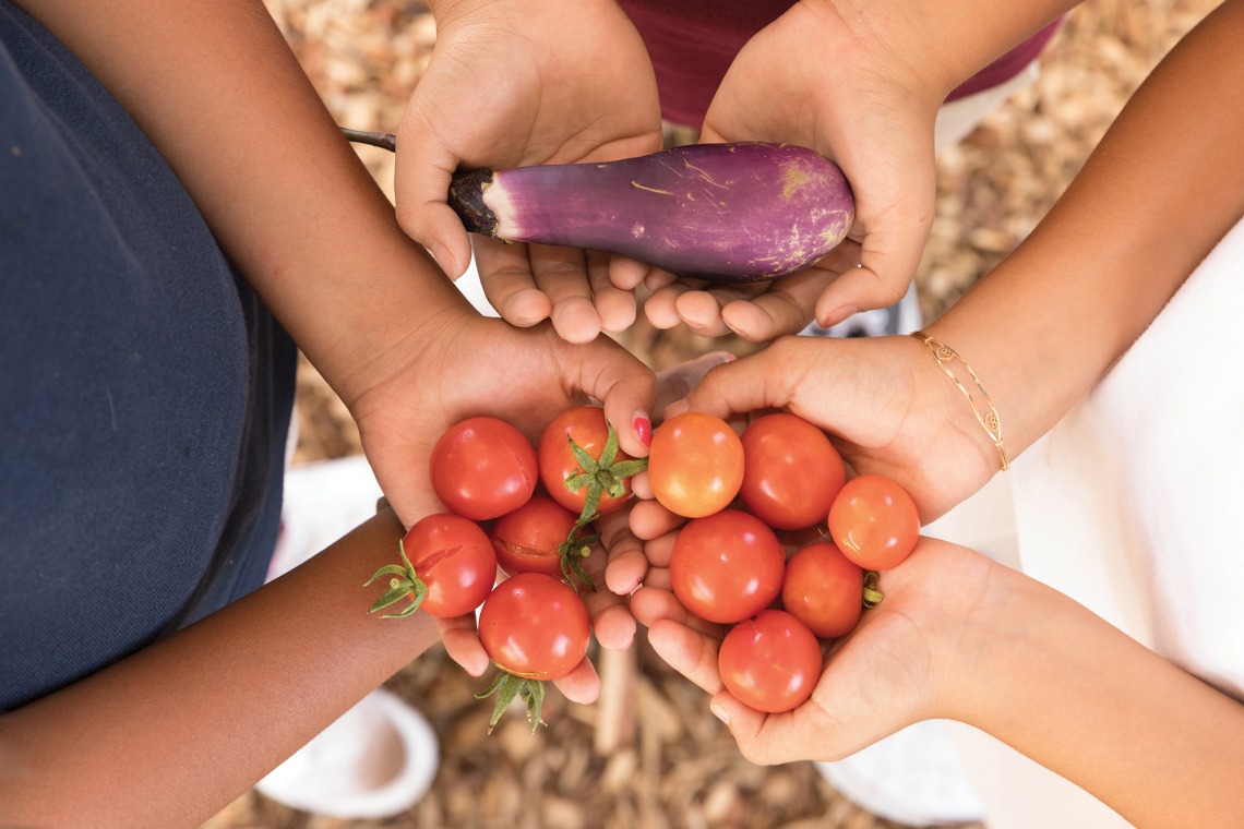 A photograph of three children's hands holding tomatoes and an eggplant