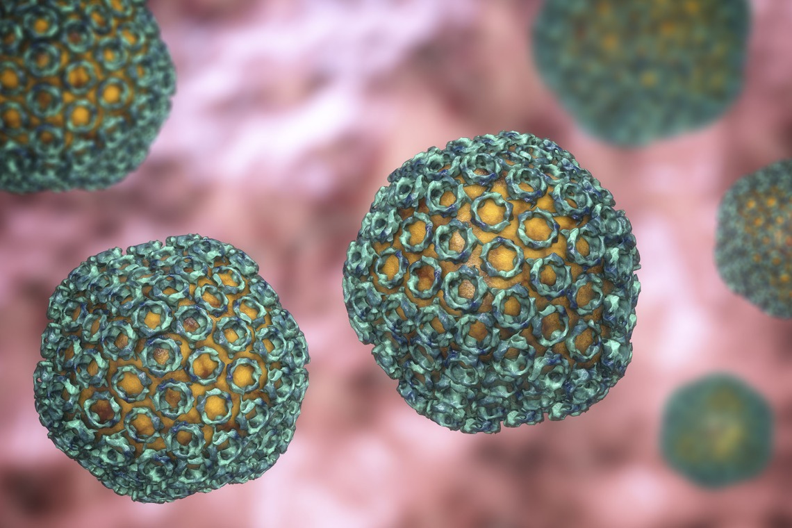 An animated photograph of the Rift Valley Fever virus.