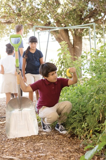 A photograph of a Manzo Elementary student admiring a squash in the garden they grew