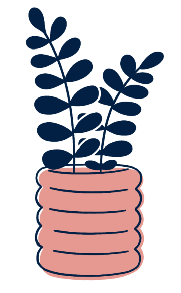 An illustration of a plant 